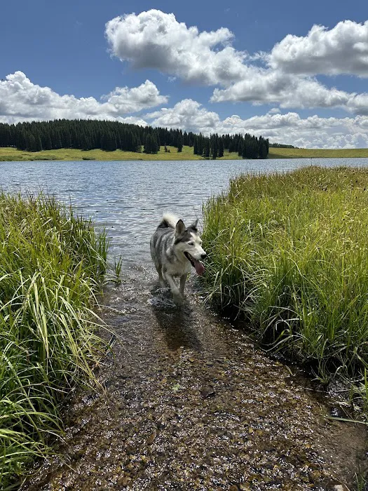 Meadow Lake Campground Picture 10