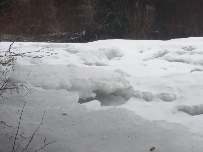 South Fork Campground Picture 1