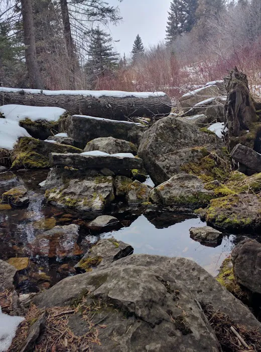 South Fork Campground Picture 6
