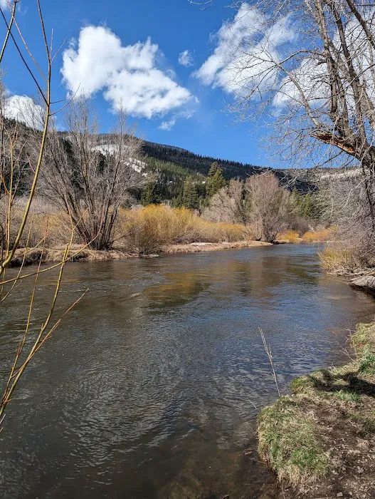 South Fork Campground Picture 4