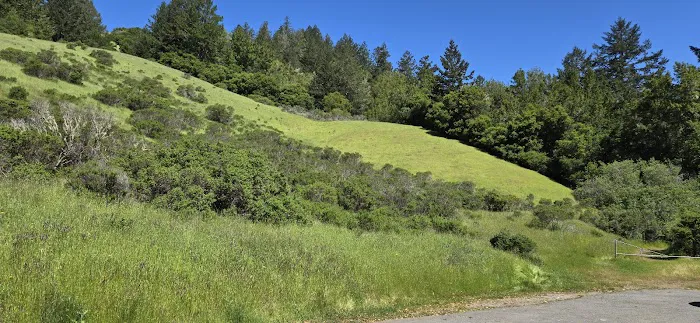 Devil's Gulch Campsite Picture 2