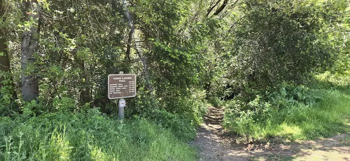 Devil's Gulch Campsite Picture 7