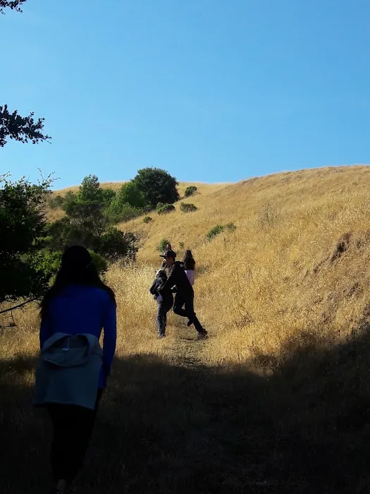 Devil's Gulch Campsite Picture 4