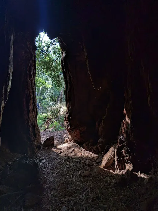 Devil's Gulch Campsite Picture 5