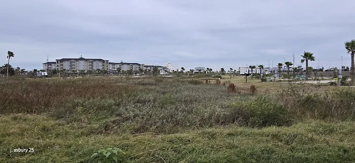 Galveston Island RV Park Picture 5