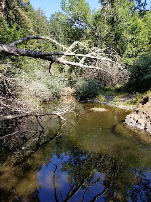 Madrone Group Area Campground Picture 8