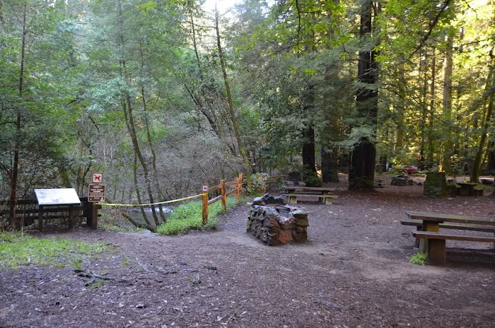 Madrone Group Area Campground Picture 6