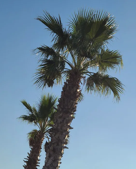 Tiki Tom's RV Park Picture 5