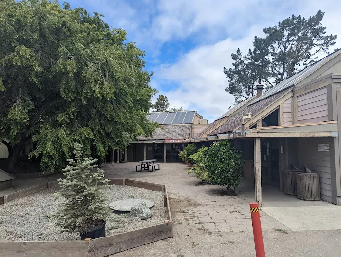 Olema Campground Picture 2