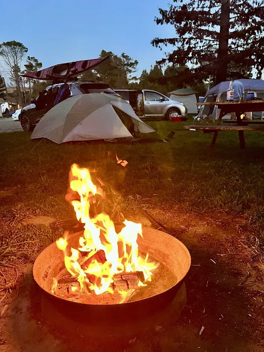 Olema Campground Picture 7