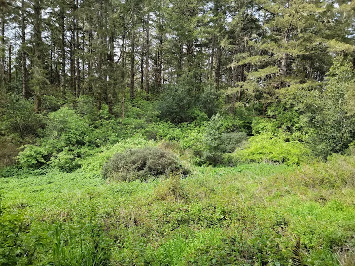 Glen Campground Picture 7