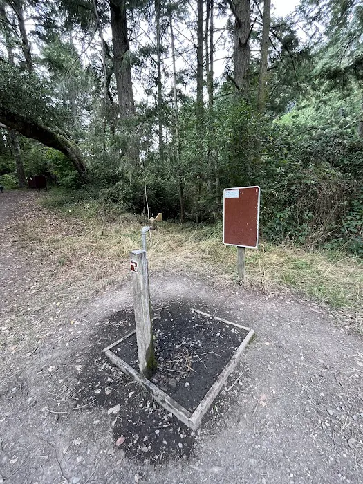 Glen Campground Picture 4