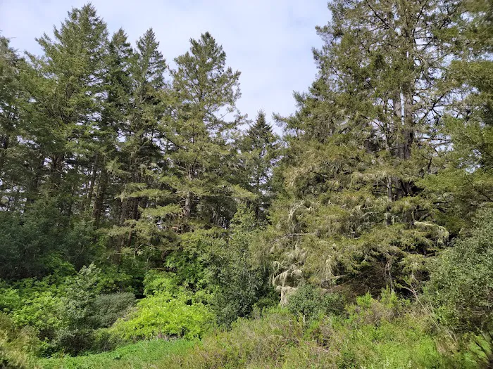 Glen Campground Picture 5