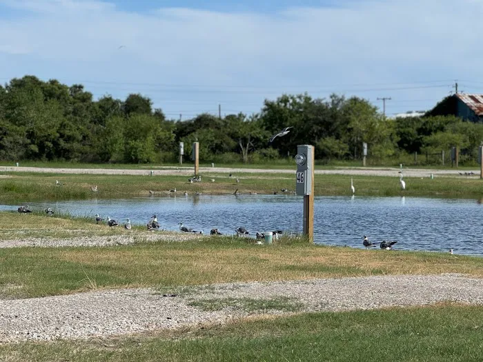 End of the Road RV Park LLC Picture 4