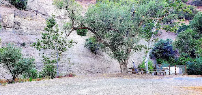 Royal Sierra Mobile Home Park Picture 4