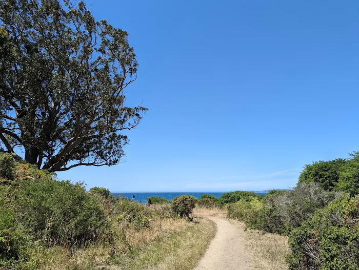 Coast Campground Picture 7
