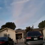 Nielsen's Trailer Park
