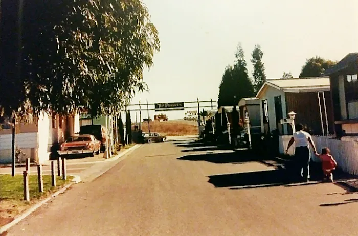Santa Elena Mobile Home Park Picture 10