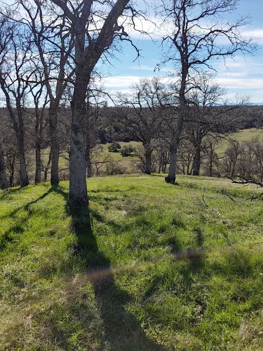 Red Hill Mobile Home Park Picture 10