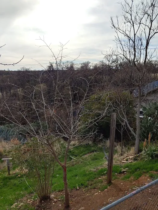 Red Hill Mobile Home Park Picture 7
