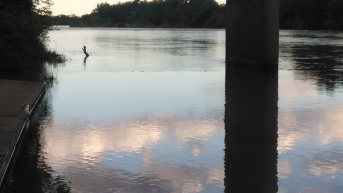 Roosters Landing Fishing Resort Picture 4