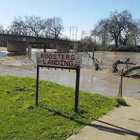 Roosters Landing Fishing Resort ico
