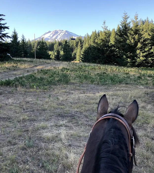 Horse Camp: Mt. Adams Picture 8