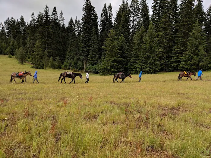 Horse Camp: Mt. Adams Picture 1
