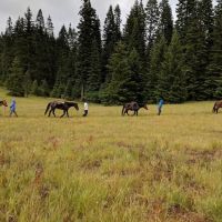 Horse Camp: Mt. Adams ico