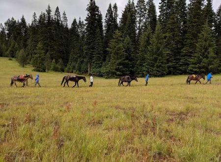 Horse Camp: Mt. Adams
