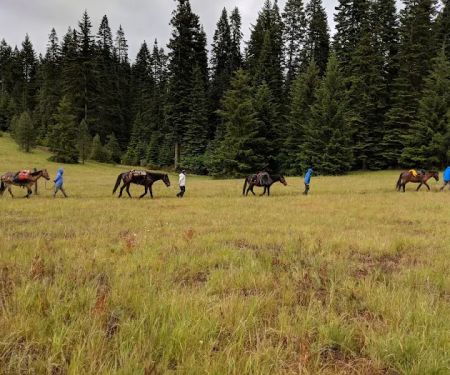 Horse Camp: Mt. Adams