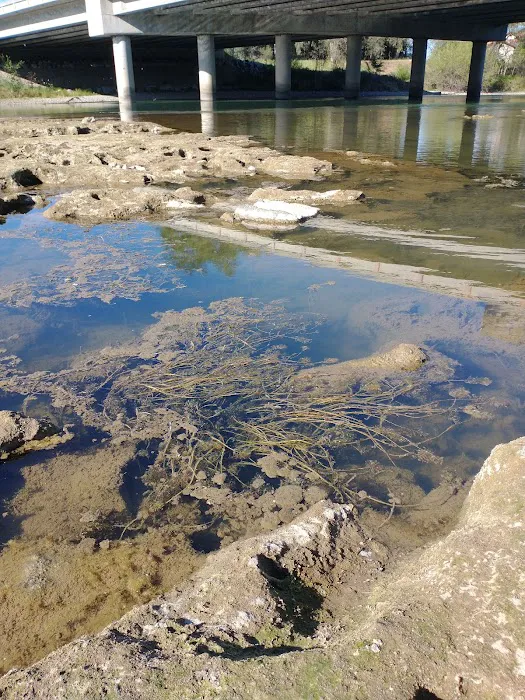 El Rio Estates Picture 9