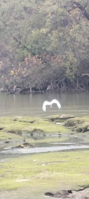 El Rio Estates Picture 2