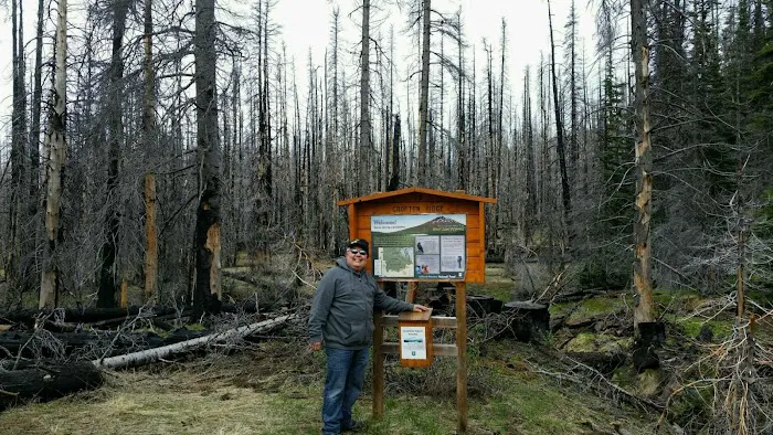 Morrison Creek Campground Picture 6