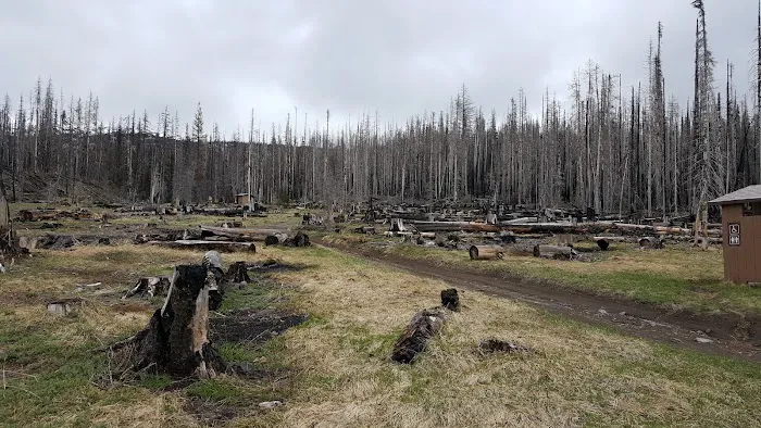 Morrison Creek Campground Picture 5