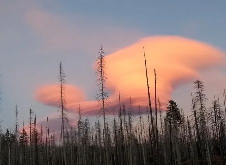 Morrison Creek Campground