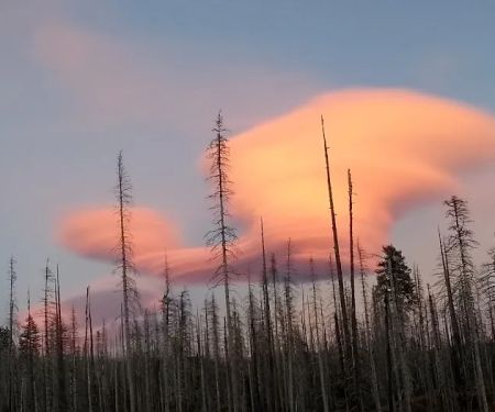 Morrison Creek Campground