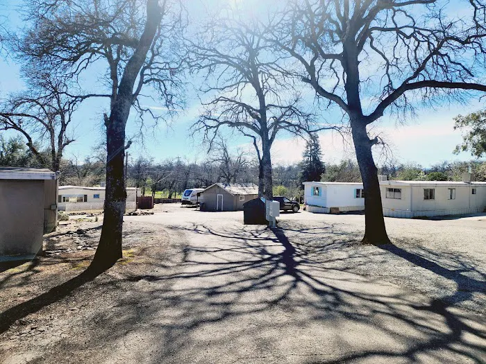 Anderson Mobile Home Park Picture 9