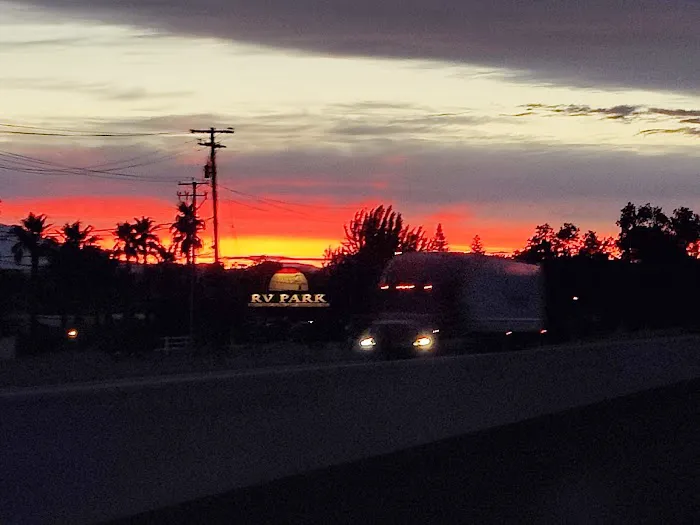Sacramento River RV Park Picture 3