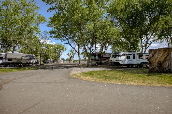 Sacramento River RV Park Picture 4