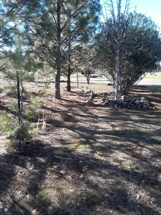 Fairway Oaks Mobile Home Park Picture 4