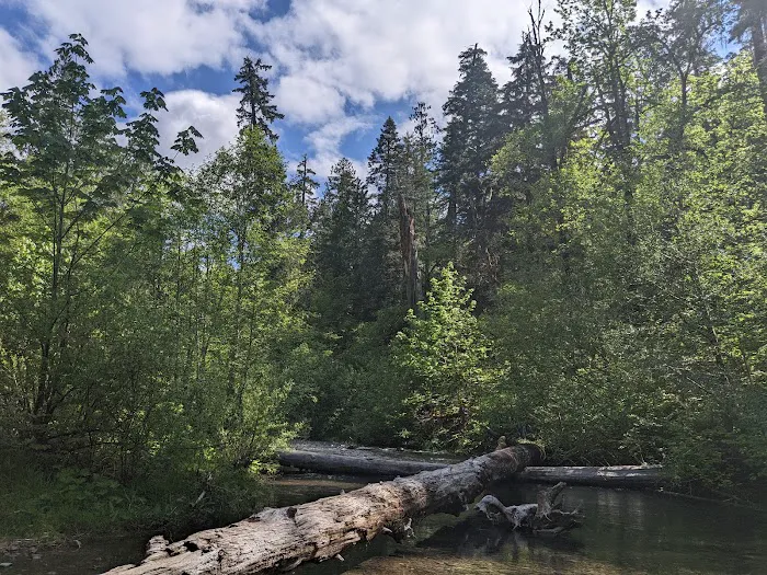 Panther Creek Campground Picture 8