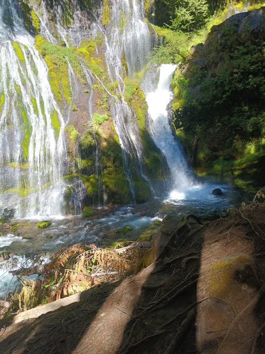 Panther Creek Campground Picture 7