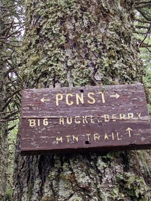 Panther Creek Campground Picture 3