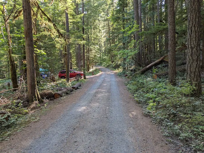 Panther Creek Campground Picture 2