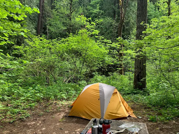 Moss Creek Campground Picture 7