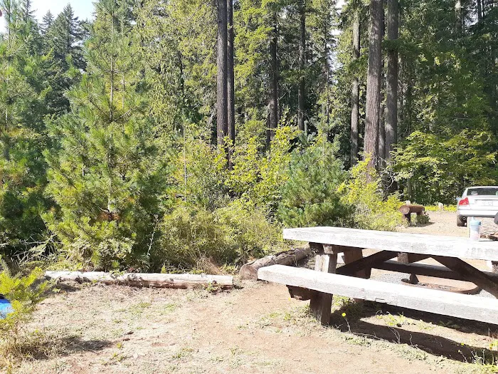 Moss Creek Campground Picture 6