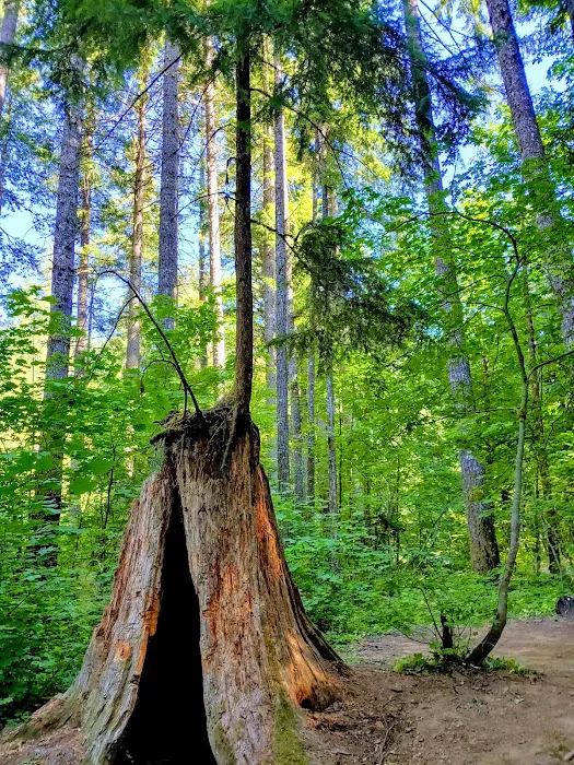 Moss Creek Campground Picture 9