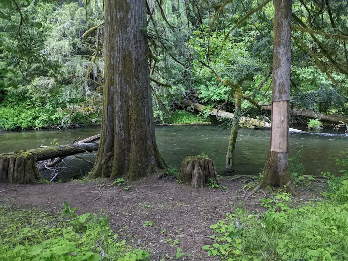 Moss Creek Campground Picture 8