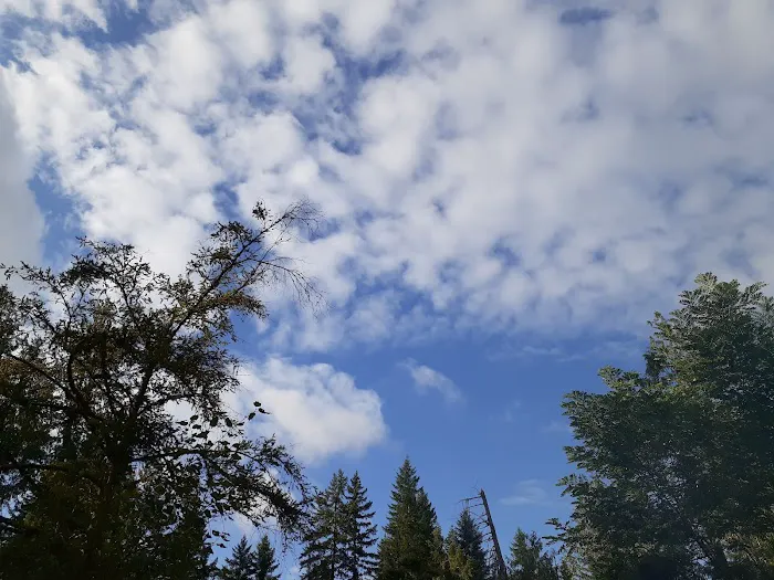 Moss Creek Campground Picture 5